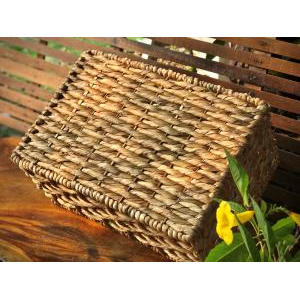 Khay Lục Bình Mẫu Lưới Có Quai Cầm - Size L [44x30x20cm]