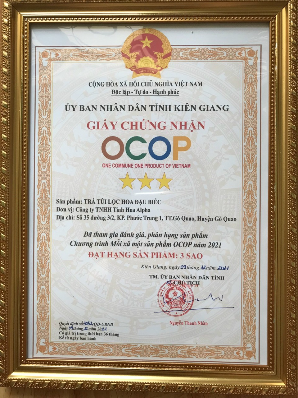 Các loại giấy phép