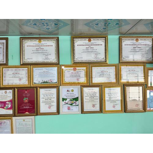 Kem Xoài (Mango Sticker) - Song Nhi