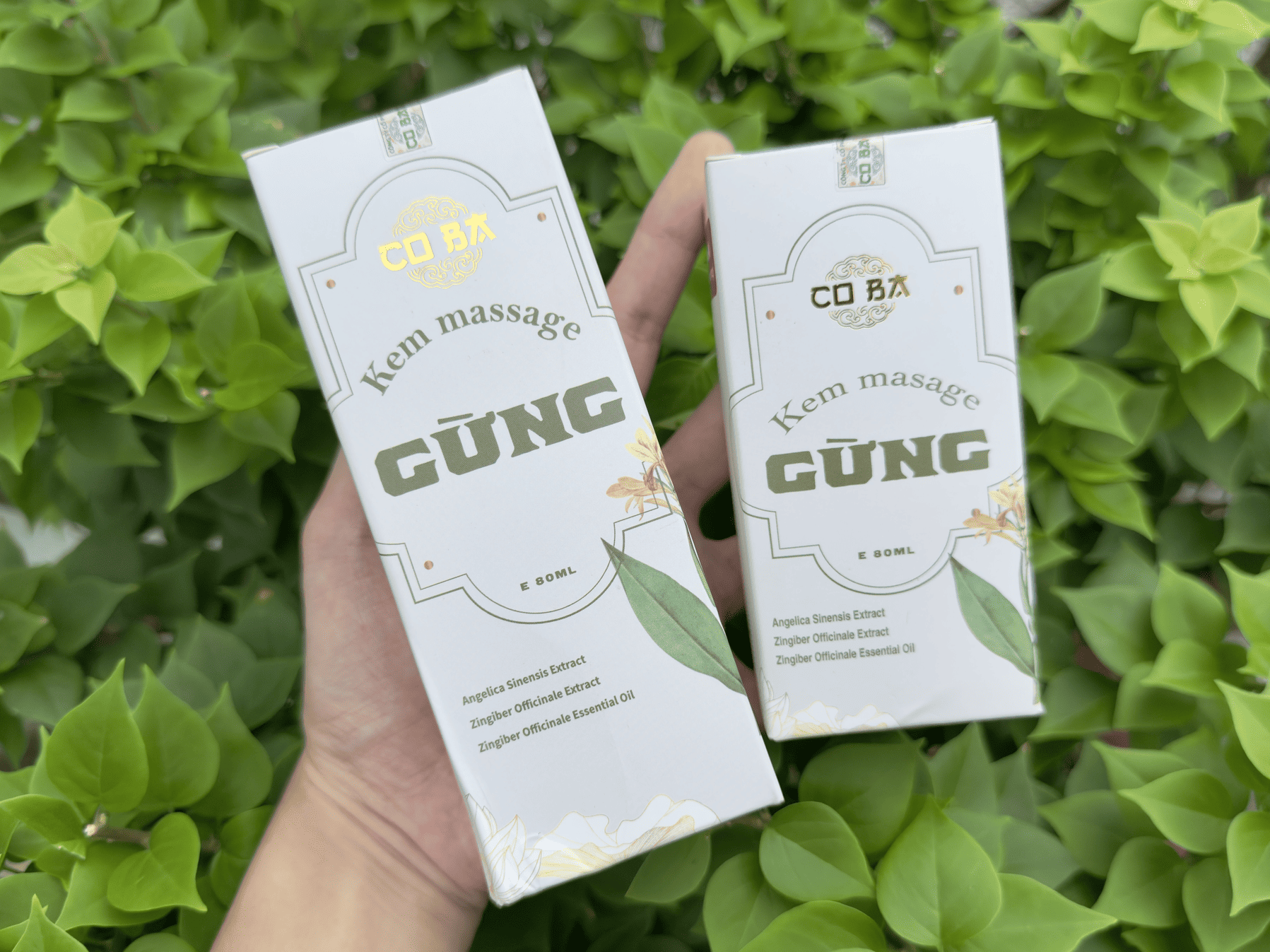 Giới thiệu sản phẩm