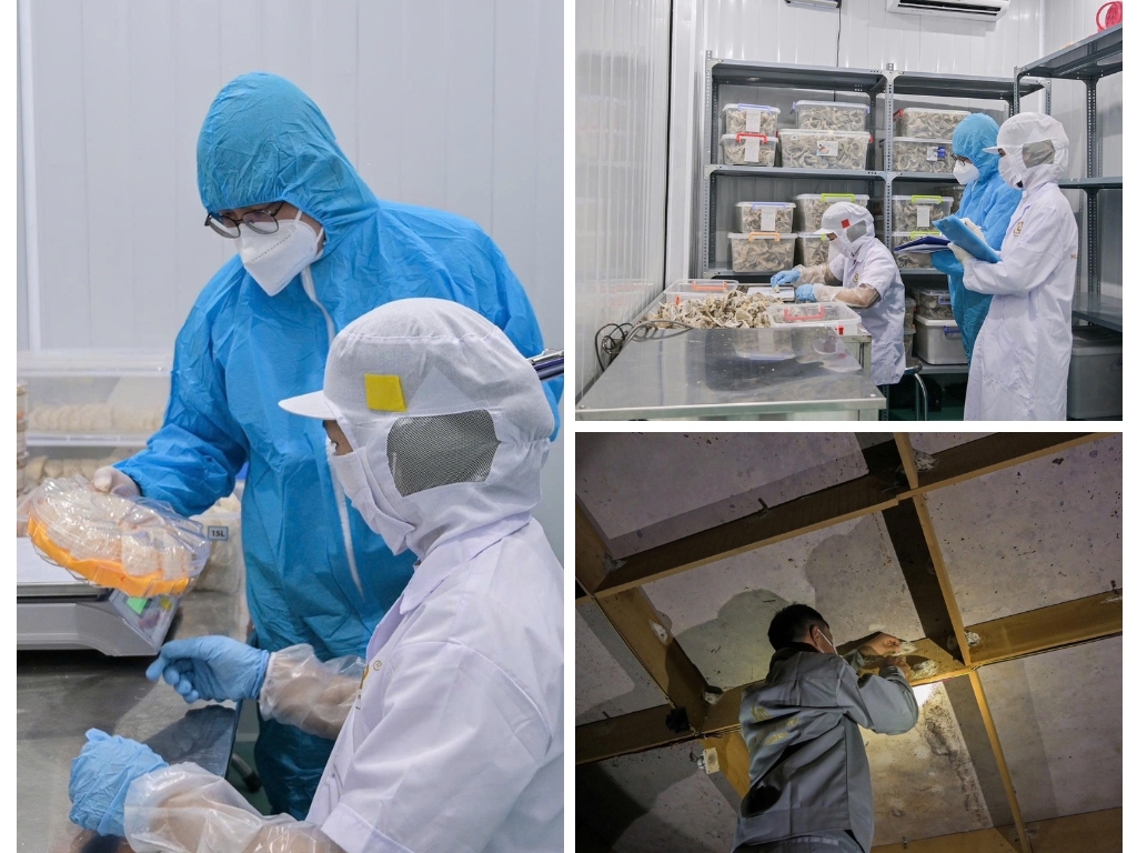 Hành trình khởi nghiệp Yến Sào Hùng Diễm KG: