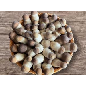 Trang Trại Nông Nghiệp Hiền Nương