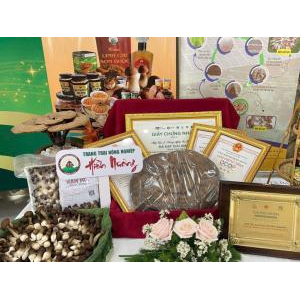 Trang Trại Nông Nghiệp Hiền Nương