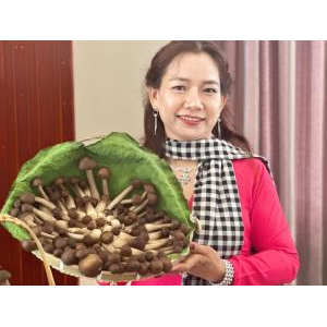 Trang Trại Nông Nghiệp Hiền Nương