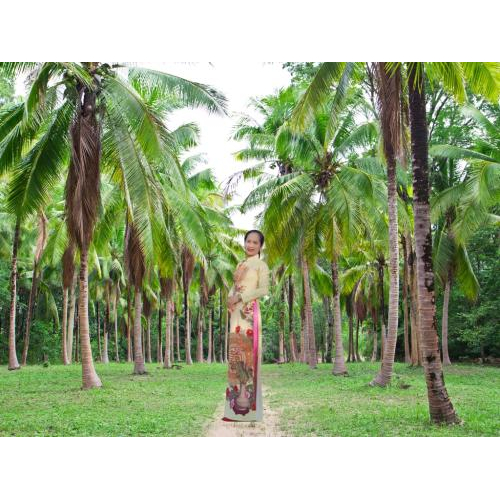 Cơ Sở Sản Xuất Bánh Kẹp Truyền Thống Thúy Kiều