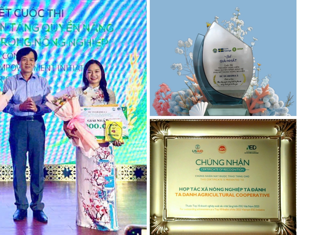 VI. Thành tựu - Công nhận: