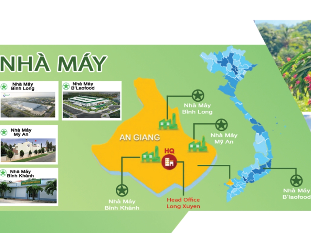 2. Các cột mốc lịch sử