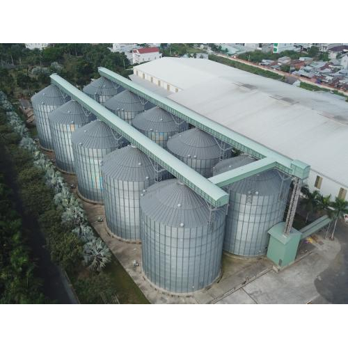 Công Ty Cổ Phần Nông Nghiệp Công Nghệ Cao Trung An Kiên Giang