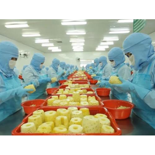 Công Ty Cổ Phần Rau Quả Thực Phẩm An Giang