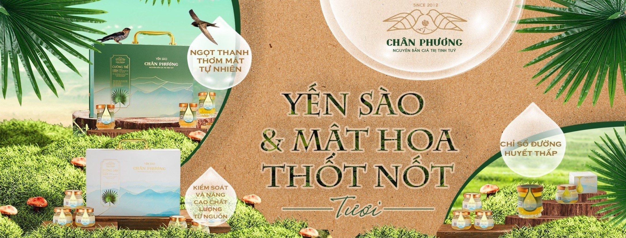 Giới thiệu