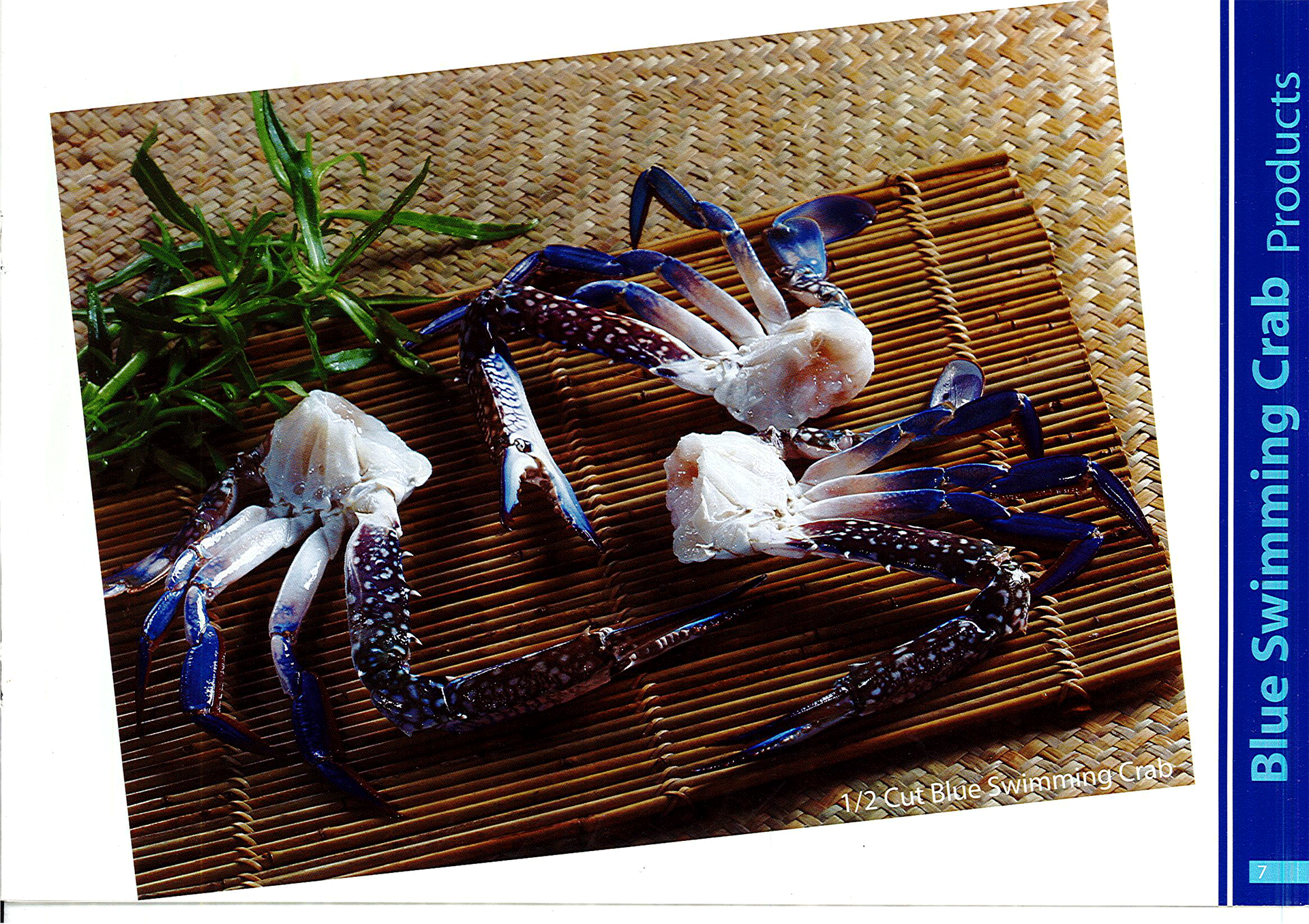 V. Sản phẩm kinh doanh