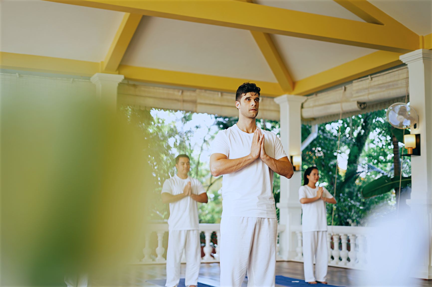 Liệu trình Wellness Journey