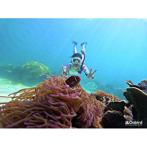 Khám phá san hô chuyên nghiệp & thưởng thức bữa tối riêng tư (tối đa 8 – 9 khách/tour)