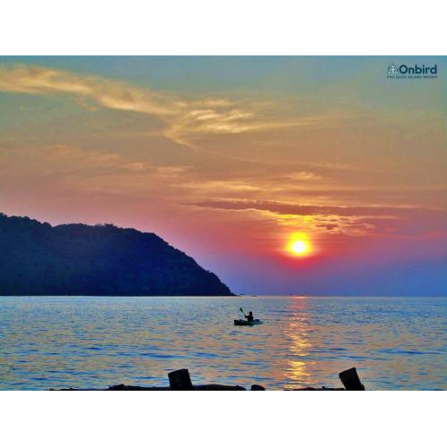 [Tour riêng đặc biệt] Dã ngoại – Ngắm san hô tự nhiên chuyên nghiệp dành cho người không xuống được nước