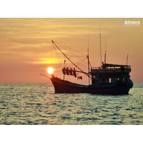 [Tour riêng đặc biệt] Dã ngoại – Ngắm san hô tự nhiên chuyên nghiệp dành cho người không xuống được nước