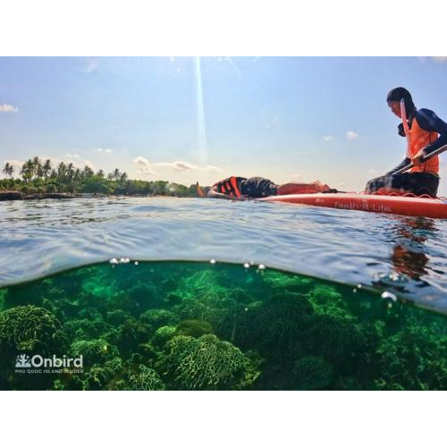 [Tour riêng đặc biệt] Dã ngoại – Ngắm san hô tự nhiên chuyên nghiệp dành cho người không xuống được nước