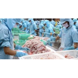 Công Ty Cổ Phần Thủy Sản Tâm Phương Nam