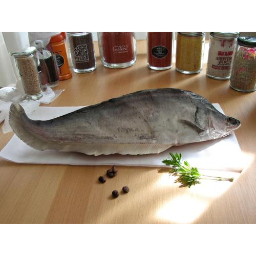 Giới thiệu sản phẩm