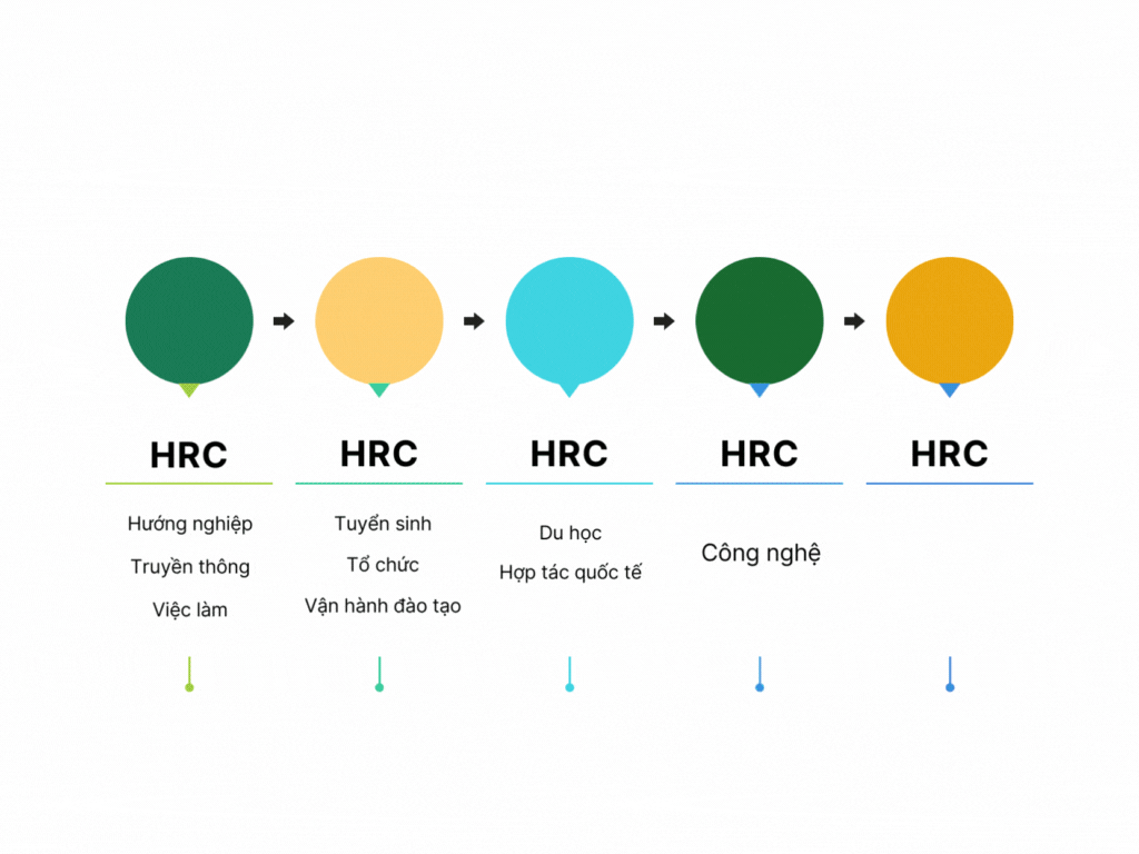 7. Cấu trúc công ty