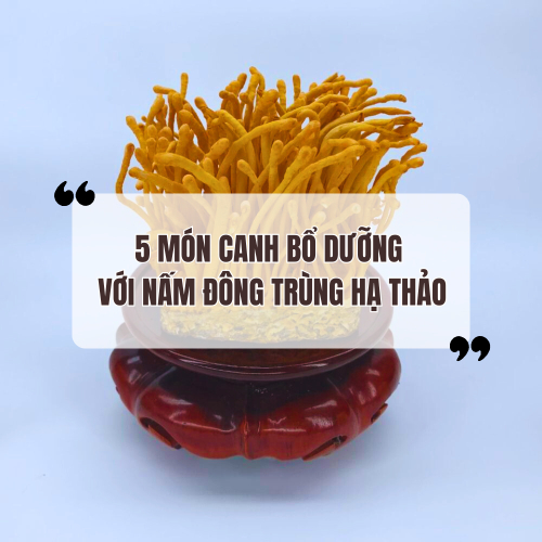 Gợi ý 5 món canh bổ dưỡng với nấm đông trùng hạ thảo