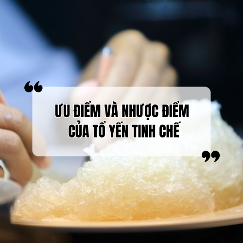 Tổ Yến Tinh Chế Là Gì? Ưu Và Nhược Điểm Của Tổ Yến Tinh Chế