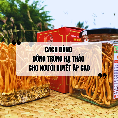 Đông Trùng Hạ Thảo Người Huyết Áp Cao Dùng Được Không? Cách Dùng Hiệu Quả Nhất