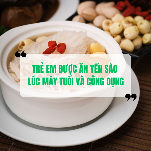 Trẻ Em Được Ăn Yến Sào Lúc Mấy Tuổi? Công Dụng Của Yến Sào Đối Với Trẻ
