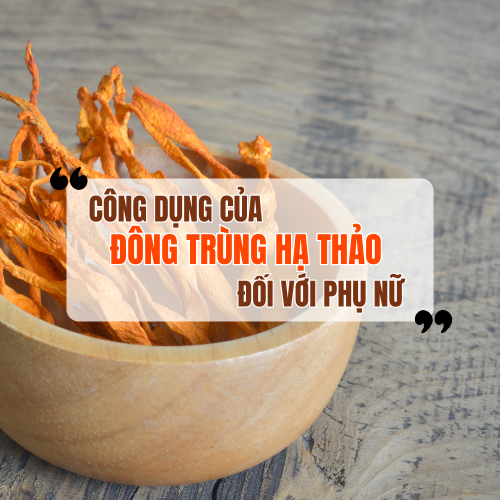 Công Dụng Của Đông Trùng Hạ Thảo Đối Với Phụ Nữ Và Cách Sử Dụng Hiệu Quả