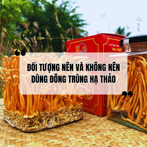 Những ai nên dùng và không nên dùng đông trùng hạ thảo